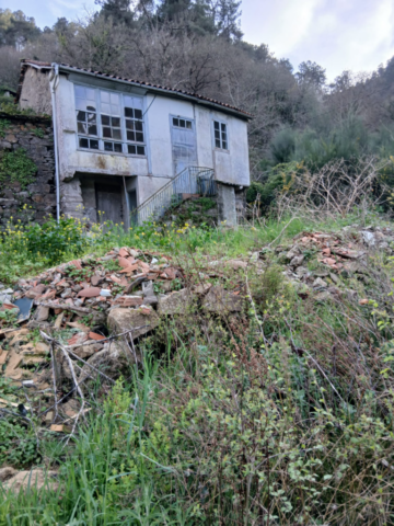 IMG 20260322 WA0005 Photoroom 768x1024