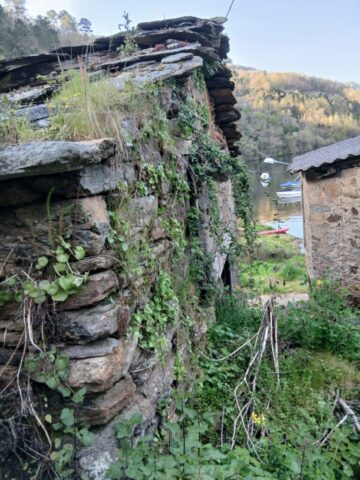 IMG 20260322 WA0006 768x1024