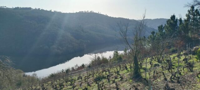 WhatsApp Image 2026 02 26 at 19.46.32 1024x461