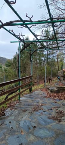 WhatsApp Image 2026 02 26 at 19.46.33 1 461x1024