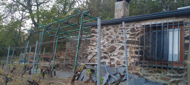 WhatsApp Image 2026 02 26 at 19.46.33 8 Photoroom 1024x461