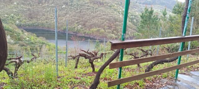 WhatsApp Image 2026 02 26 at 19.46.34 2 1024x461