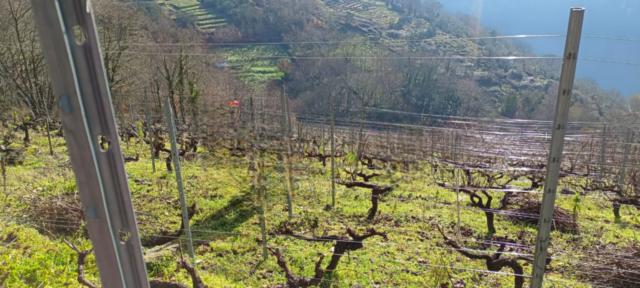 WhatsApp Image 2026 02 26 at 19.46.34 Photoroom 1024x461