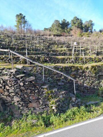 WhatsApp Image 2026 02 28 at 18.54.18 1 768x1024