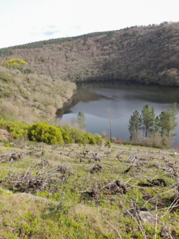 WhatsApp Image 2026 03 03 at 16.58.11 768x1024