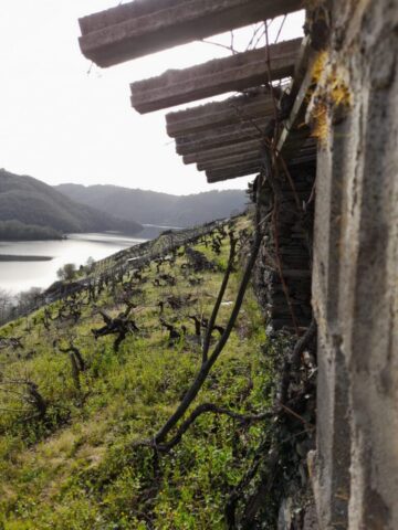 WhatsApp Image 2026 03 03 at 16.58.12 1 768x1024