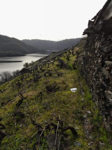 WhatsApp Image 2026 03 03 at 16.58.12 768x1024