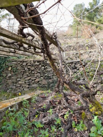 WhatsApp Image 2026 03 03 at 16.58.14 768x1024