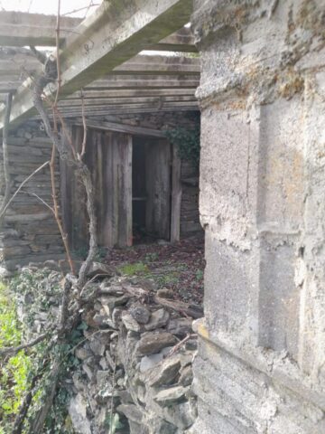 WhatsApp Image 2026 03 03 at 16.58.59 768x1024