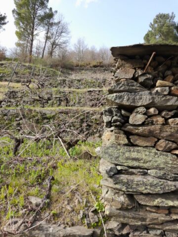 WhatsApp Image 2026 03 03 at 16.59.00 1 768x1024