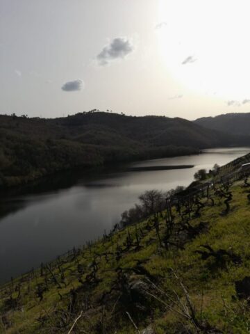 WhatsApp Image 2026 03 03 at 16.59.00 2 768x1024