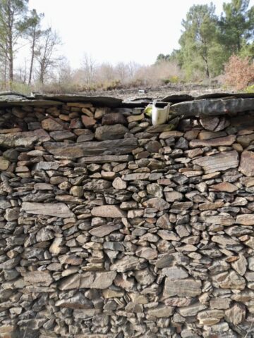 WhatsApp Image 2026 03 03 at 16.59.00 768x1024