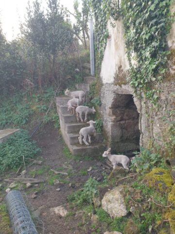 WhatsApp Image 2026 03 12 at 22.19.25 768x1024