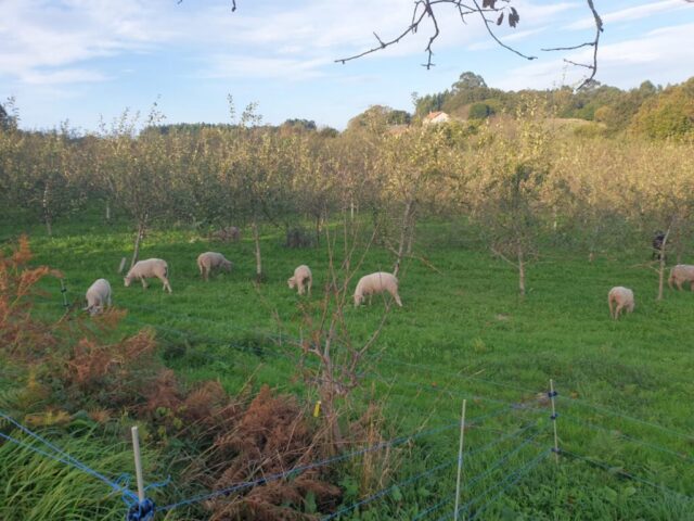 WhatsApp Image 2026 03 12 at 22.24.01 1024x768