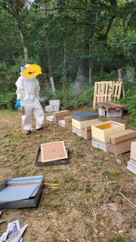 WhatsApp Image 2026 03 12 at 22.27.42 577x1024