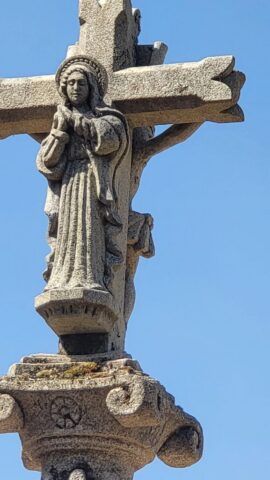 WhatsApp Image 2026 03 12 at 22.31.31 577x1024