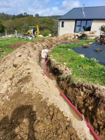 WhatsApp Image 2026 03 12 at 22.36.04 1 768x1024