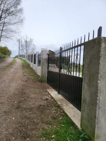 WhatsApp Image 2026 03 12 at 22.50.25 768x1024