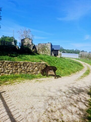 WhatsApp Image 2026 03 12 at 23.09.11 768x1024