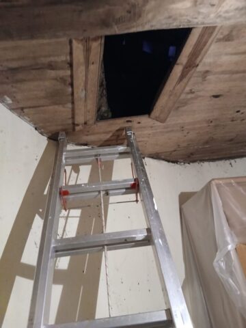 WhatsApp Image 2026 03 28 at 13.03.38 2 768x1024