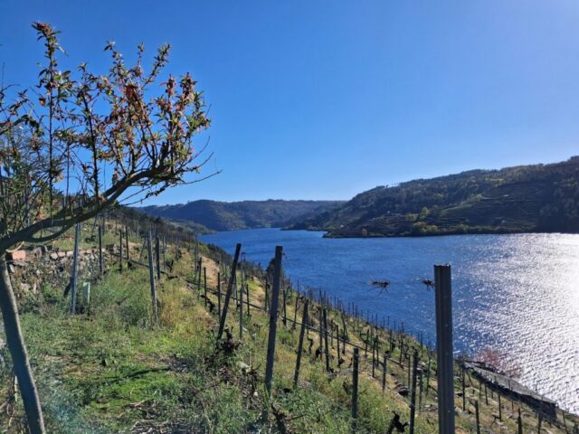 20260331_181817 20260331 181817 1024x768