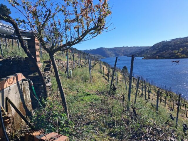 20260331_181819 20260331 181819 1024x768