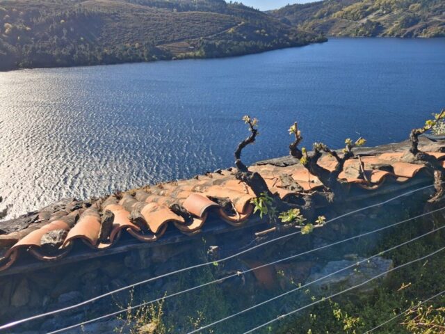 20260331_183013 20260331 183013 1024x768