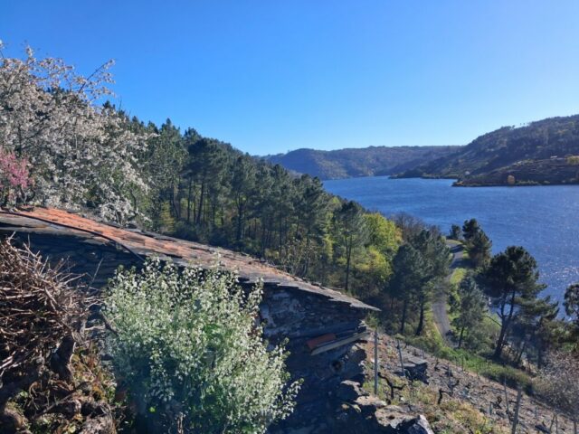 20260331_183035 20260331 183035 1024x768