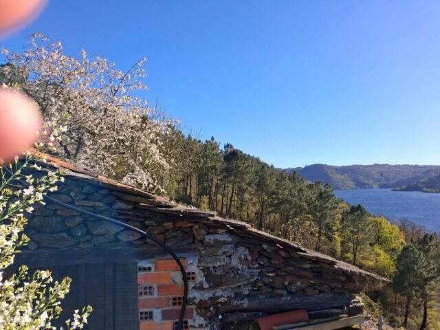 20260331_183052 20260331 183052 1024x768