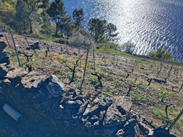 20260331_183059 20260331 183059 1024x768