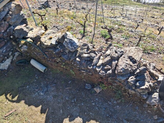 20260331_183100 20260331 183100 1024x768