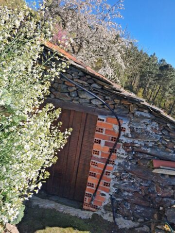 20260331_183103 20260331 183103 767x1024