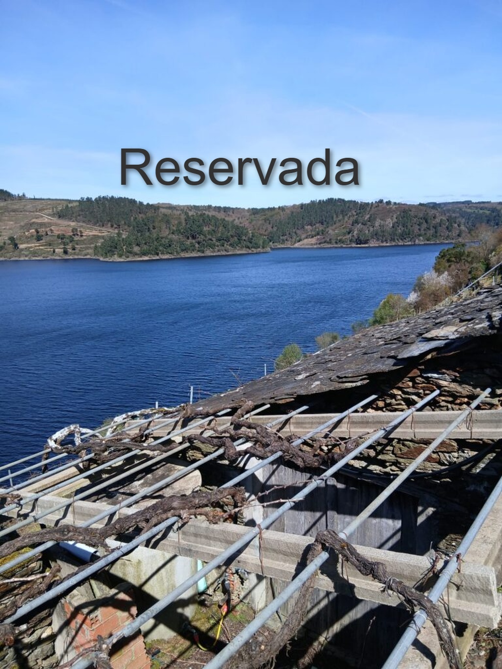 IMG 20260418 WA0000 1 768x1024 1