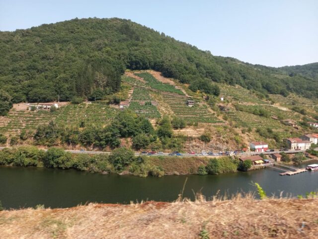 WhatsApp Image 2026 04 30 at 19.17.43 1024x768