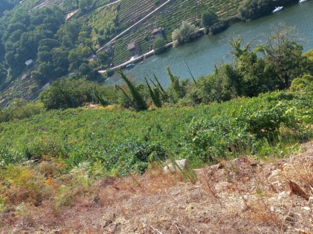 WhatsApp Image 2026 04 30 at 19.17.46 2 1024x768