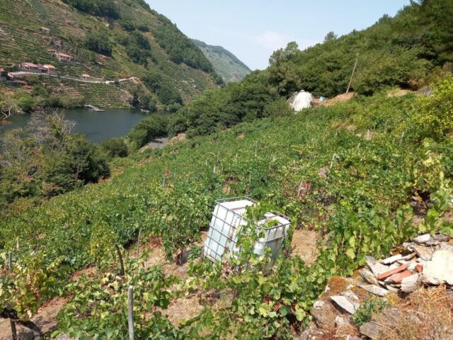 WhatsApp Image 2026 04 30 at 19.17.47 2 1024x768