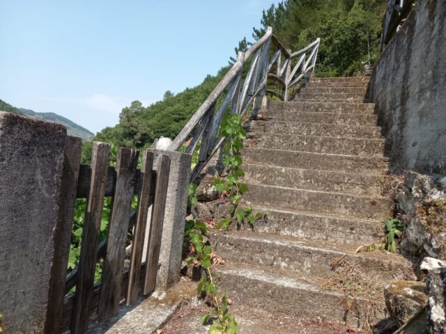 WhatsApp Image 2026 04 30 at 19.17.47 3 1024x768