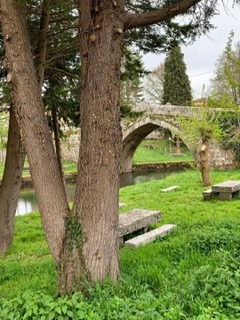 image1 1